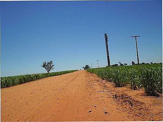 CHEGANDO EM  BERNARDELLI-FOTO:EDIVAL DE SOUZA - BERNARDELLI - PR