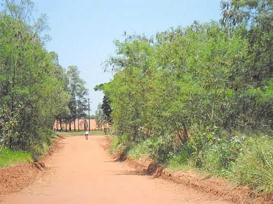 ESTRADA DE BERNARDELLI-FOTO:EDIVAL DE SOUZA - BERNARDELLI - PR