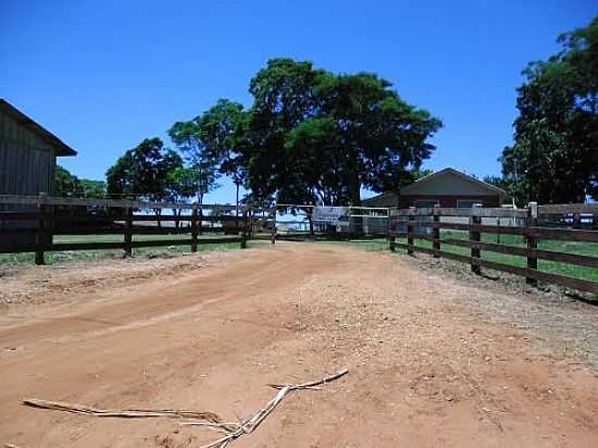 FAZENDA EM  BERNARDELLI-FOTO:EDIVAL DE SOUZA - BERNARDELLI - PR