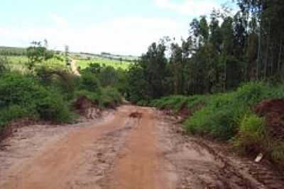 ESTRADA-FOTO:DONIZETE SILVA - BOA VISTA - PR