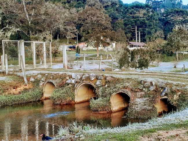 CARIJOS, POR EDNA MARA MUHLENHOFF - BOCAIVA DO SUL - PR