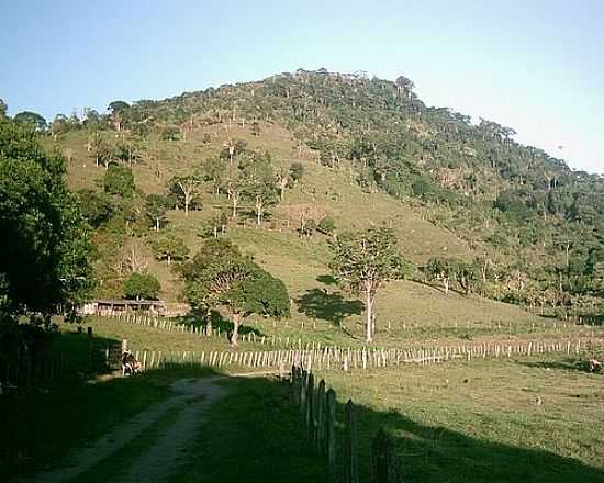 FAZENDA PEDRA REDONDA-FOTO:401917  - FIRMINO ALVES - BA