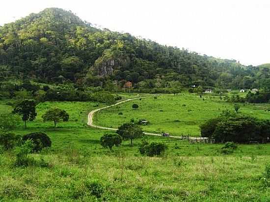 FAZENDA PEDRA REDONDA-FOTO:401917 - FIRMINO ALVES - BA