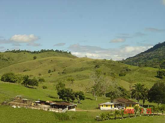 FIRMINO ALVES - FAZENDA LAURA-FOTO:QUINTA DA LUZ - FIRMINO ALVES - BA