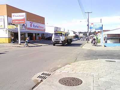 AVENIDA-FOTO:CICEROLINO7  - BORDA DO CAMPO - PR