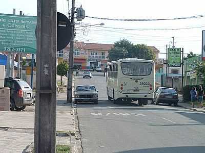 CENTRO DA CIDADE-FOTO:CICEROLINO7  - BORDA DO CAMPO - PR