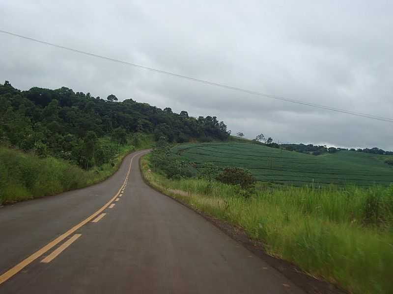 ESTRADA QUE INTERLIGA BRAGANEY A IGUATU - POR GASPARIM - BRAGANEY - PR