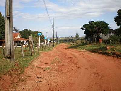 BAIRRO CAFEEIROS-FOTO:UDSON PINHO  - CAFEEIROS - PR