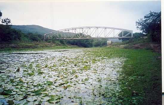 AGUAPS E A PONTE SOBRE O RIO JACUPE EM FRANA-BA-FOTO:ANT. CARIAS FRASCOL - FRANA - BA