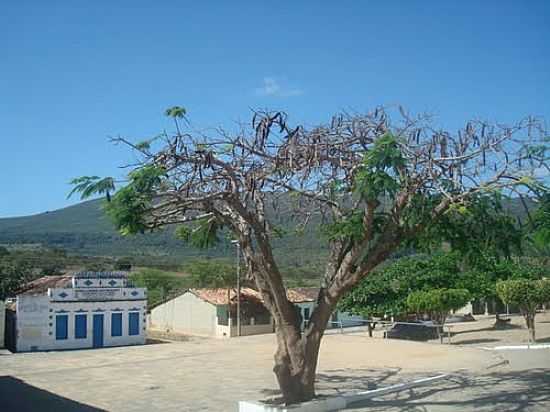 PRAA NA CIDADE DE FRANA-BA-FOTO:CELSO VEDOVATO - FRANA - BA