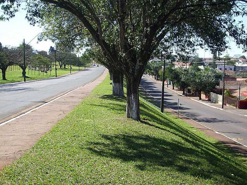 CAMB-PR - AV. ROBERTO CONCEIO BENEDITO DA COSTA - CAMB - PR