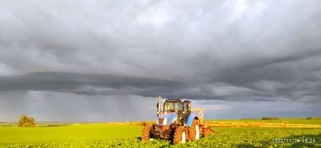 REA RURAL DE CAMPINA DA LAGOA, POR ELVIS ARALDI - CAMPINA DA LAGOA - PR