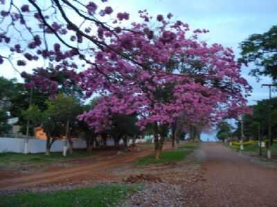  POR VALDEMIR - CAMPINA DA LAGOA - PR