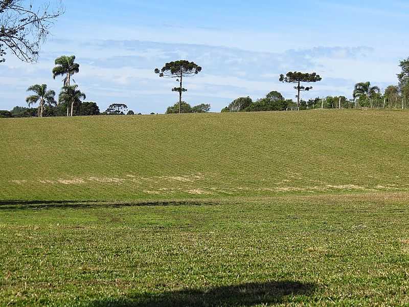 PAISAGEM RURAL EM CAMPINA GRANDE DO SUL -POR TEN RECH  - CAMPINA GRANDE DO SUL - PR