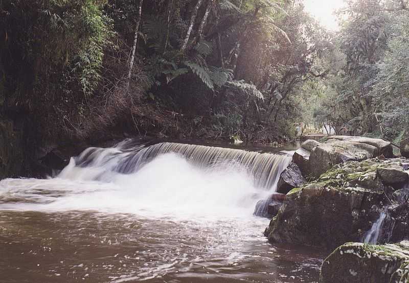 CAMPINA GRANDE DO SUL - PR - CAMPINA GRANDE DO SUL - PR