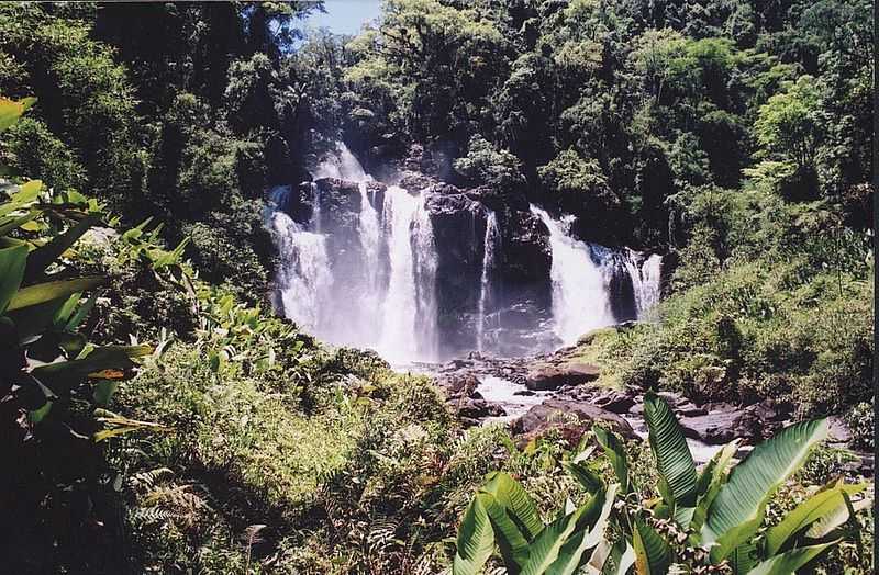 CAMPINA GRANDE DO SUL - PR - CAMPINA GRANDE DO SUL - PR