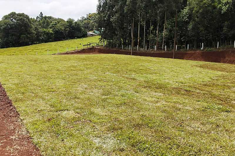 IMAGENS DA CIDADE DE CANTAGALO - PR - CANTAGALO - PR