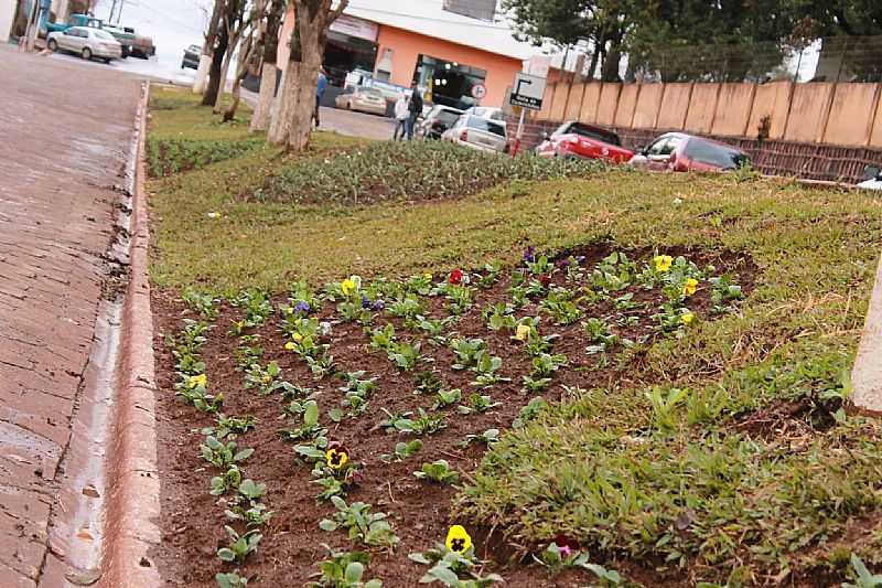 IMAGENS DA CIDADE DE CANTAGALO - PR - CANTAGALO - PR