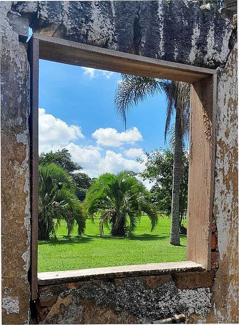 IMAGEM DA CIDADE DE CAPO ALTO-PR - CAPO ALTO - PR