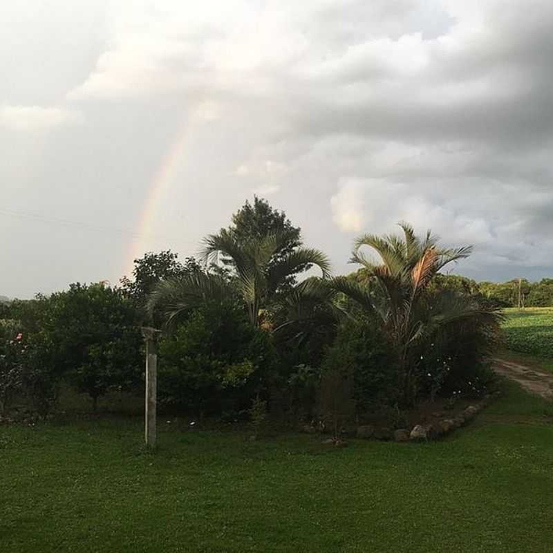 IMAGENS DO DISTRITO DE CAPO BONITO NO MUNICPIO DE LAPA-PR - CAPO BONITO - PR