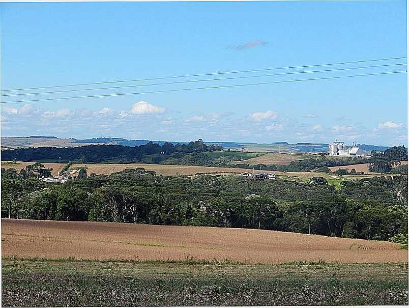 IMAGENS DO DISTRITO DE CAPO BONITO NO MUNICPIO DE LAPA-PR - CAPO BONITO - PR
