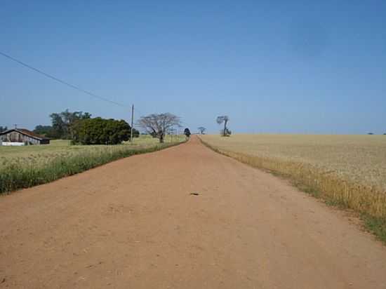 REA RURAL DE CARAMUR-FOTO:JOS CARLOS FARINA - CARAMURU - PR