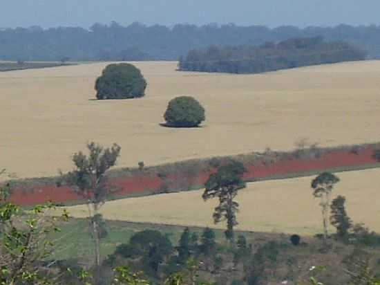 PAISAGEM RURAL DE CARAMUR-FOTO:JOS CARLOS FARINA - CARAMURU - PR