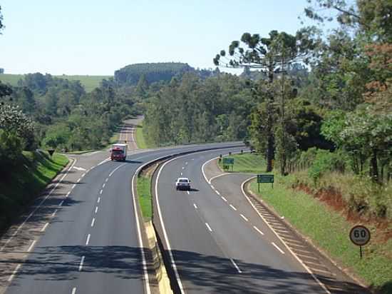 VIADUTO DO CARAMURU-FOTO:JOS CARLOS FARINA - CARAMURU - PR