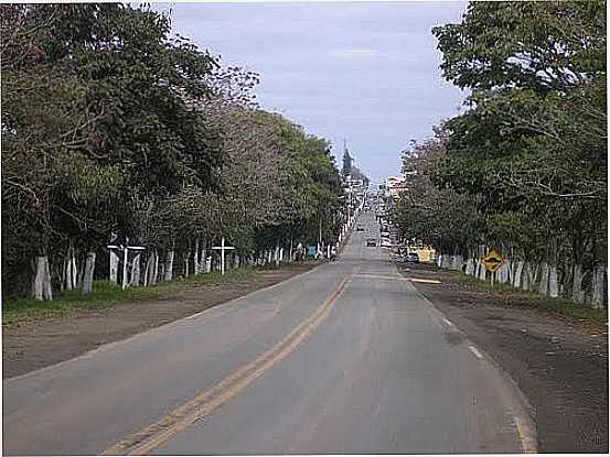 ENTRADA DA CIDADE DE CARLPOLIS-FOTO:ADMIRANDA - CARLPOLIS - PR