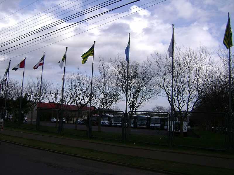 CASCAVEL-PR-BANDEIRAS NA AVENIDA TANCREDO NEVES-FOTO:ARTEMIO CLIDES KARPINSKI - CASCAVEL - PR