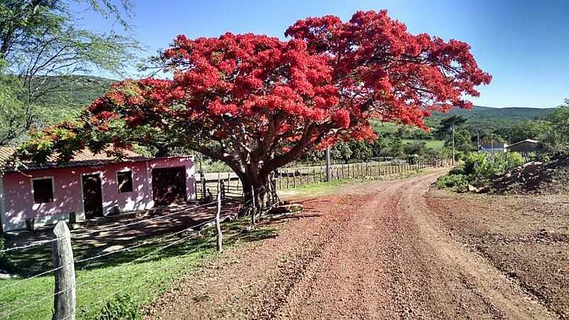 BARRIGUDA - VILAREJO DE GENTIO DO OURO - BAHIA - GENTIO DO OURO - BA