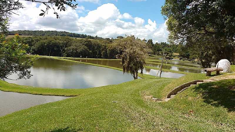 IMAGENS DO DISTRITO DE COLNIA MURICI MUNICPIO DE SO JOS DOS PINHAIS/PR - COLNIA MURICI - PR