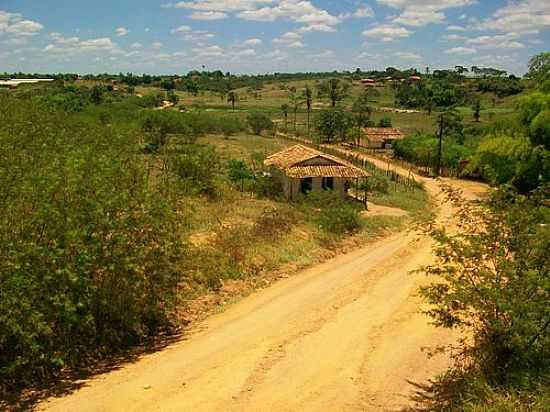 ESTRADA EM REA RURAL-FOTO:RICARDOFILHO - GEOLNDIA - BA