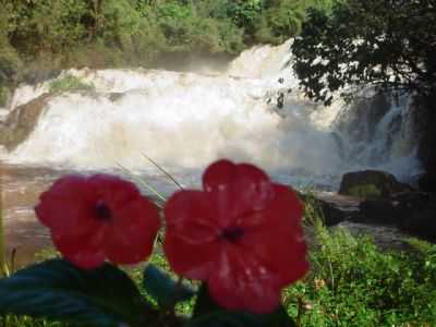 CORBLIA  ABENOADA COM MUITOS RIOS E CACHOEIRAS EXUBERANTES COMO ESTA., POR ZENILDA (DIRETORA DO DEPTO DE TURISMO DO MUNICPIO) - CORBLIA - PR