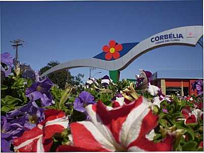 O PORTAL DE ENTRADA MOSTRA A BELEZA DAS FLORES E TAMBM DAS CACHOEIRAS EXISTENTES NO MUNICPIO, POR ZENILDA (DIRETORA DO DEPTO DE TURISMO DO MUNICPIO) - CORBLIA - PR