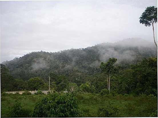 SERRA DO DIVISOR, POR ILSON - CRUZEIRO DO SUL - AC