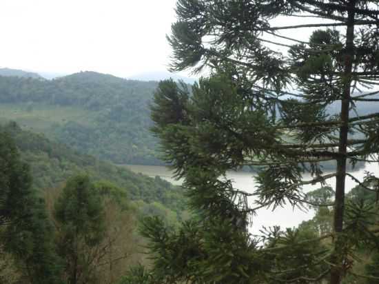 VISTA PARA A REPRESA DO FOZ DO AREIA, POR TERA ZIPPERER - CRUZ MACHADO - PR