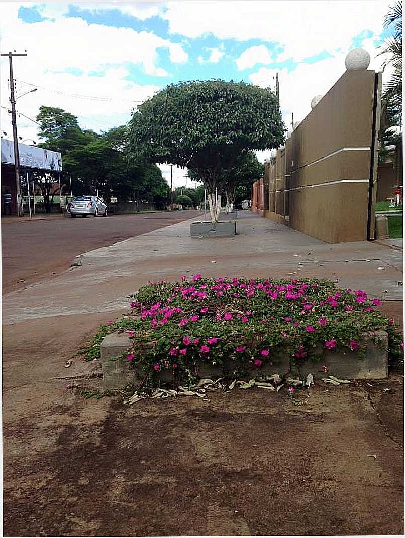 IMAGENS DA CIDADE DE CRUZMALTINA - PR - CRUZMALTINA - PR