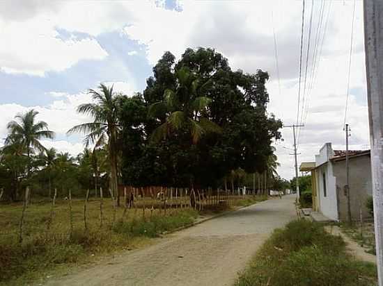 RUA IN GOVERNADOR MANGABEIRA POR CARLINHIS BRA - GOVERNADOR MANGABEIRA - BA