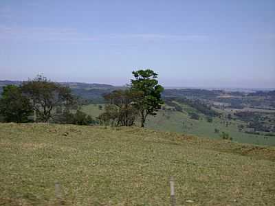 REA RURAL-FOTO:ARTEMIO C.KARPINSKI - DIAMANTE D'OESTE - PR