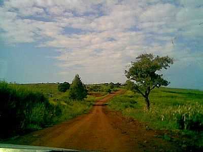 ESTRADA RURAL-FOTO:EDER PRESSI - DIAMANTE D'OESTE - PR