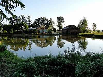 LAGO EM PROPRIEDADE RURAL-FOTO:RICARDO MERCADANTE - DIAMANTE D'OESTE - PR