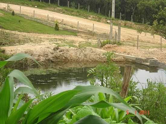 LAGO NA REA RURAL DE DOCE GRANDE-FOTO:CILMARA GM - DOCE GRANDE - PR