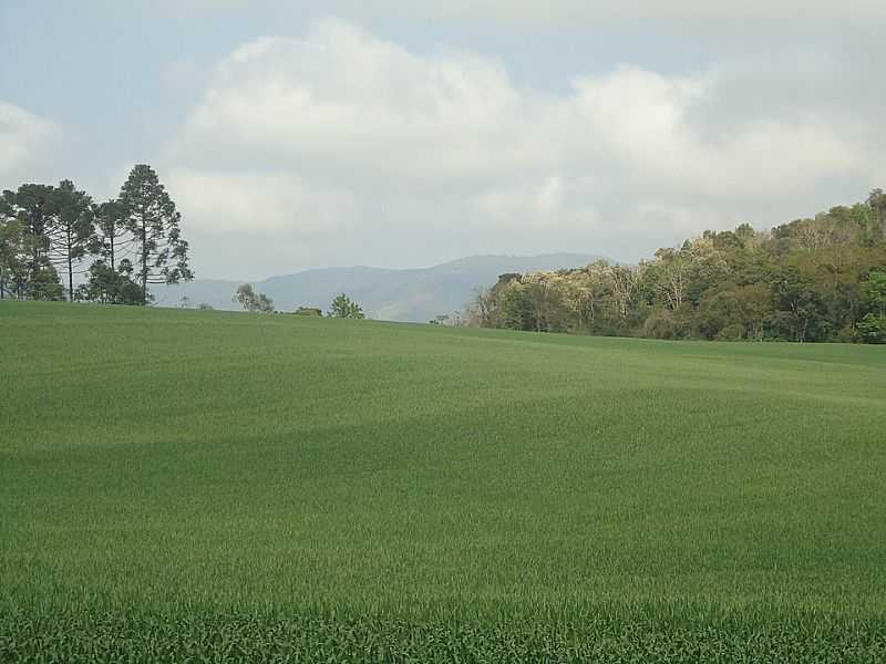 IMAGENS DE DORIZON - PR - DORIZON - PR