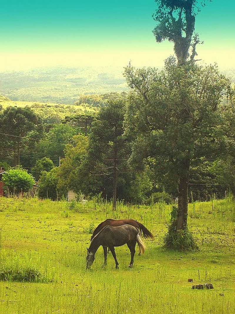 IMAGENS DE DORIZON - PR - DORIZON - PR