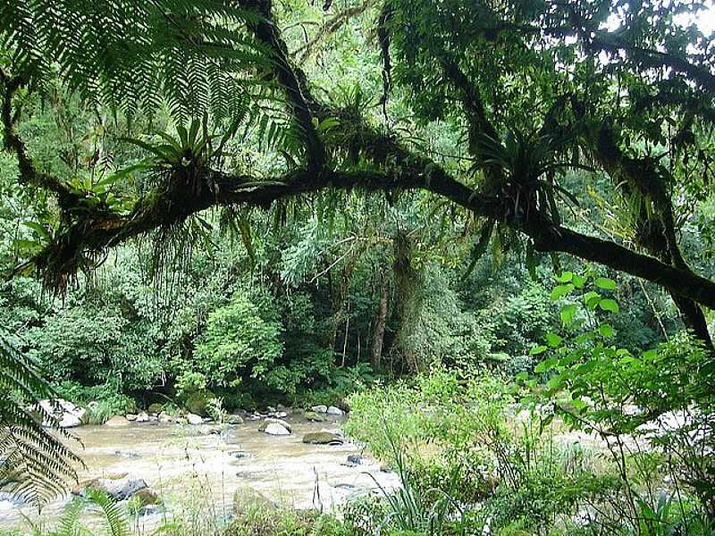 SERRA DA ESPERANA. - DORIZON - PR