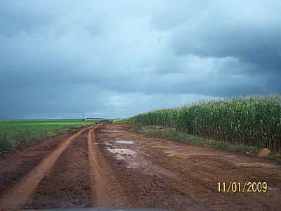 ESTRADA-FOTO:LOIVINHO A.M.FRANA  - ENTRE RIOS - PR