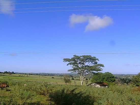 REA RURAL DE ESPERANA NOVA-FOTO:DIMASCORPORATION - ESPERANA NOVA - PR