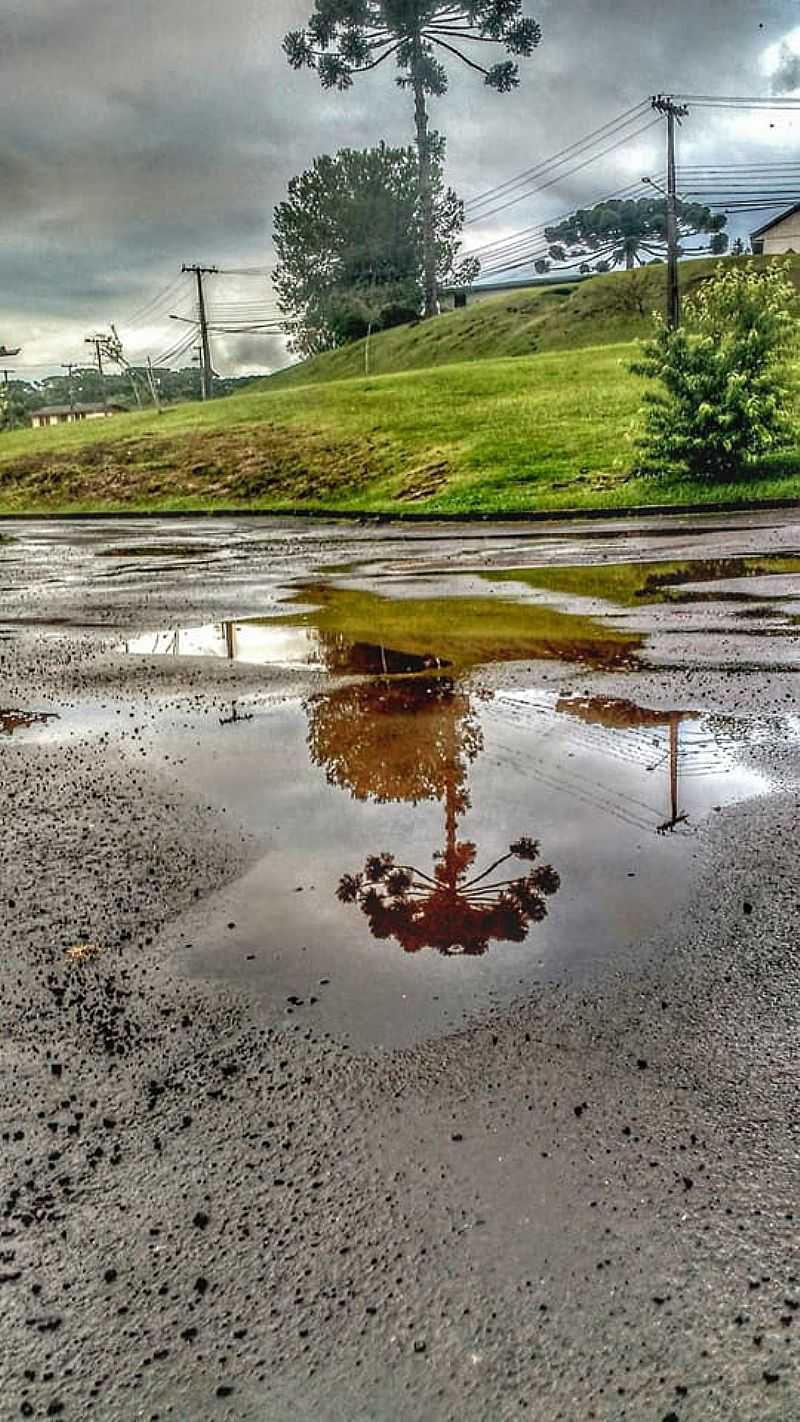 IMAGENS DA VILA DE FAXINAL DO CU - PR - FAXINAL DO CU - PR