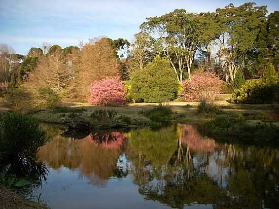 FAXINAL DO CU-PR-LAGO DO HORTO FLORESTAL-FOTO:PAULO FARINA  - FAXINAL DO CU - PR